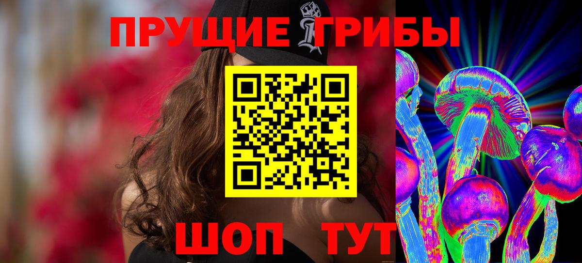 Галлюциногенные грибы GOLDEN TEACHER  Вход с VPN  Гагарин  Псилоцибиновые грибы Psilocybe 